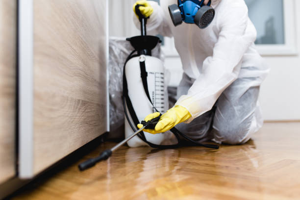 Best Best Pest Control Companies  in Oakley, UT