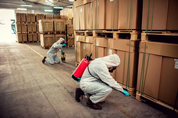 Best Ant Control Services  in Oakley, UT