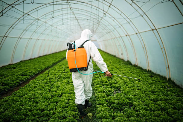 Best Pest Inspection Near Me  in Oakley, UT