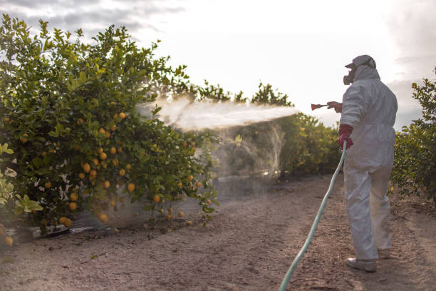 Pest Prevention Services in Oakley, UT
