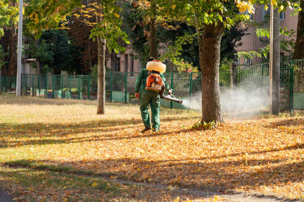 Best Flea Control Services  in Oakley, UT