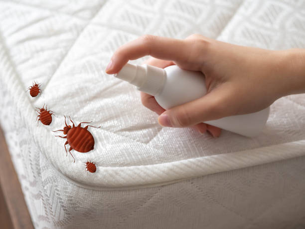 Best Pest Control Near Me  in Oakley, UT