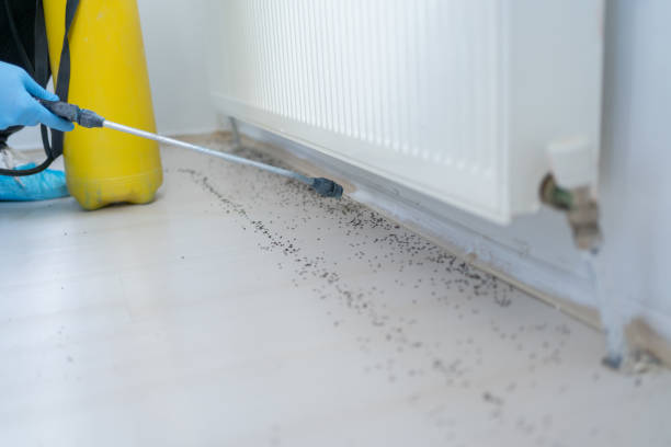 Trusted Oakley, UT Pest Control Experts