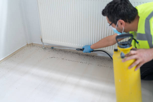 Best Mosquito Control Services  in Oakley, UT