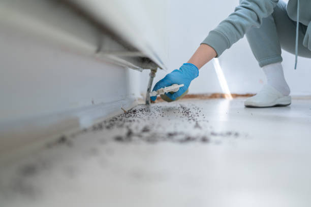 Best Cockroach Control Services  in Oakley, UT
