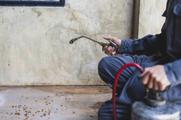 Best Cockroach Control Services  in Oakley, UT